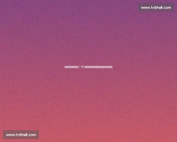 乔哈特力挺维尔茨：1.16 亿英镑转会费物超所值，红军中场将迎质变