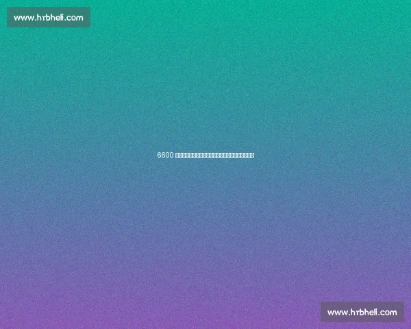 6600 万先生沦为负资产！魔术搭首轮甩锅，掘金庆幸避坑