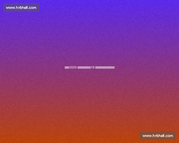 切尔西 6500 万欧锋霸正式亮相！18 岁巴西天才剑指英超欧冠双冠