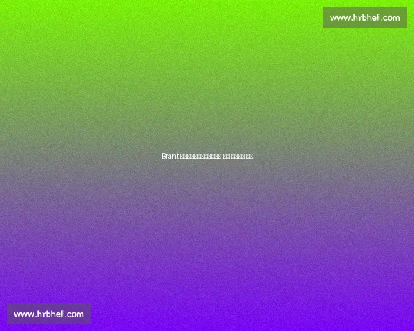 Brant 两连胜问鼎德尔玛未来锦标 续写 铤而走险 传奇