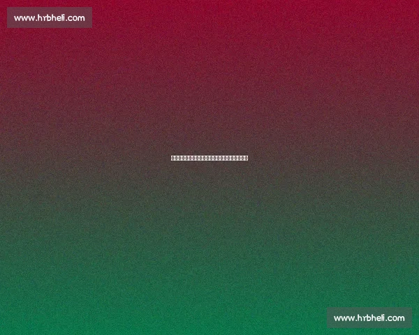 努尔基奇力挺加索尔：欧洲内线史上最佳当之无愧