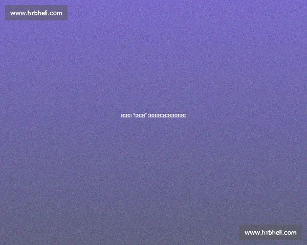 曼联追逐 “新哈兰德” 受阻：冗员清理难成引援最大障碍