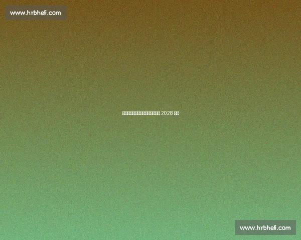 浙江队官宣续约中场核心鲍盛鑫至 2028 赛季