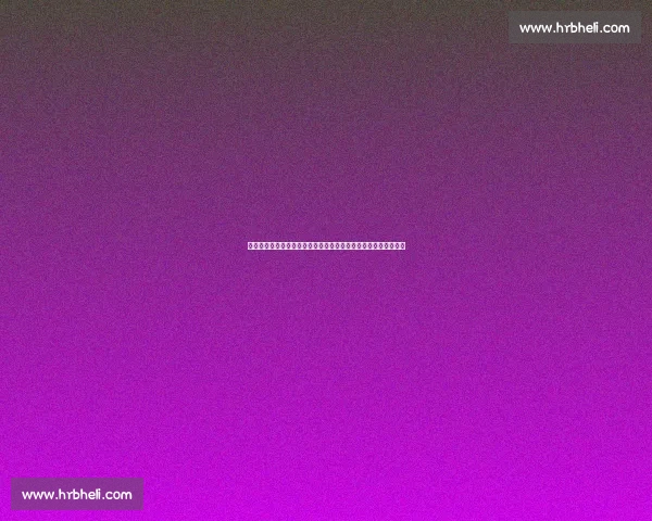 太阳激战公牛强强对话焦点之夜东西部火力全面碰撞巅峰对决赛场